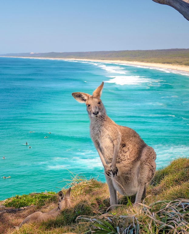 australia